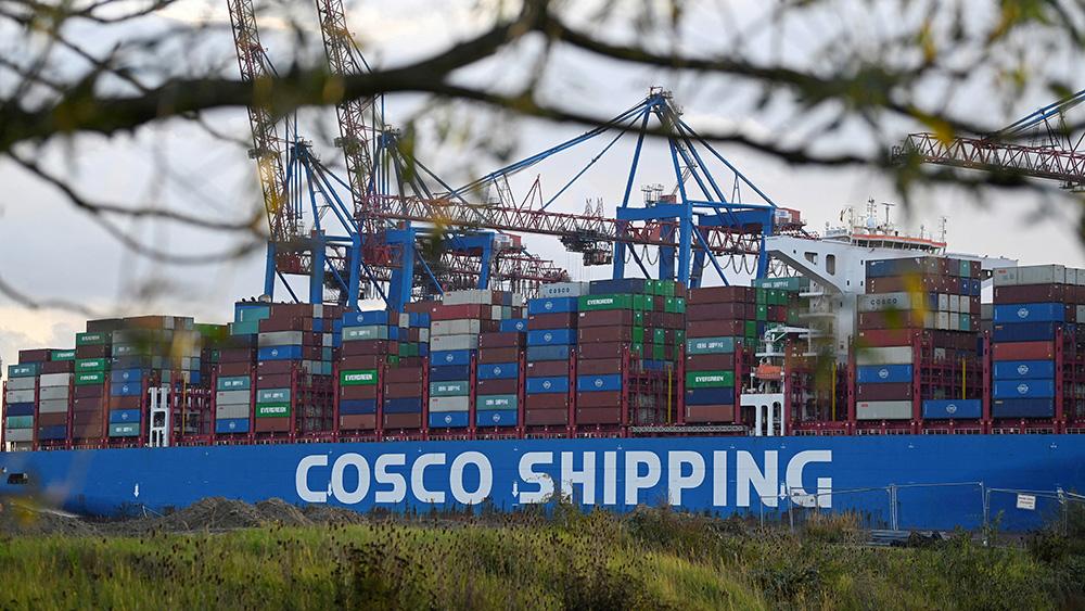 Cargo ship 'Cosco Shipping Gemini' of Chinese shipping company 'Cosco' is loaded at the container terminal 'Tollerort' in the port in Hamburg, Germany, October 25, 2022.